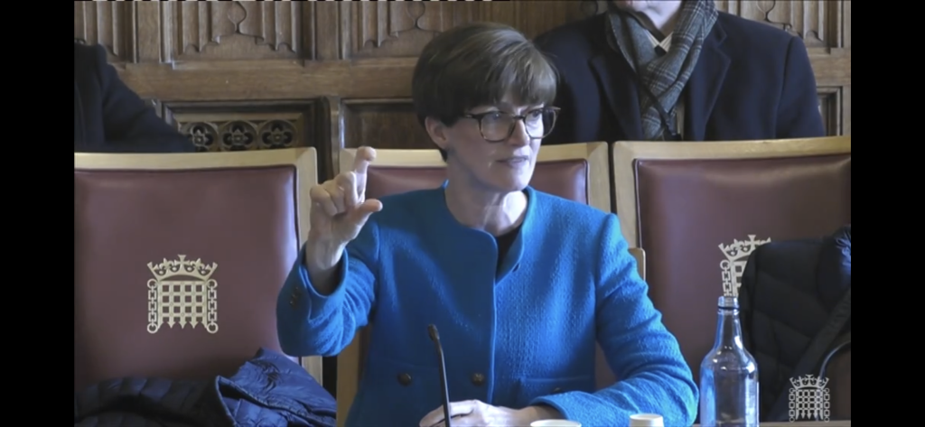 Ali Capper House of Lords Committee