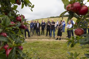 Orchard event group through trees