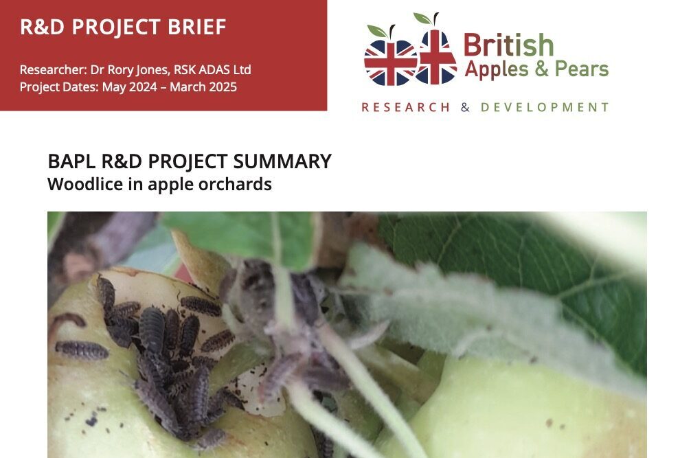 Woodlice end of project fact sheet cover