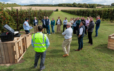 BAPL annual orchard event celebrates record season and showcases new harvest